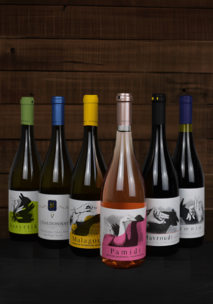 Wein Einsteiger-Set