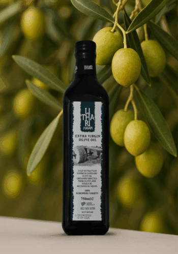 Im Vordergrund ist eine Olivenöl Flasche und im Hintergrund sind Olivenzweige und Oilven zu sehen
